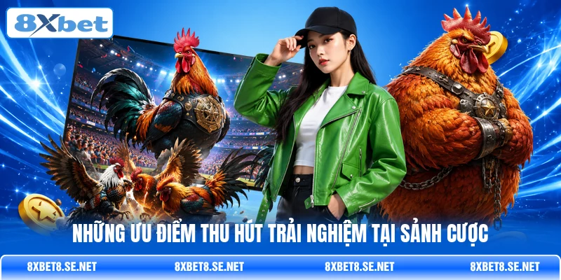 Những ưu điểm thu hút trải nghiệm tại sảnh cược