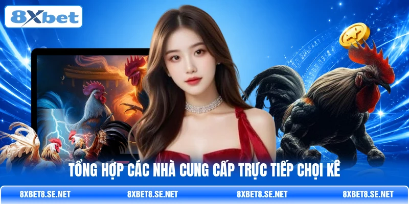 Tổng hợp các nhà cung cấp trực tiếp chọi kê